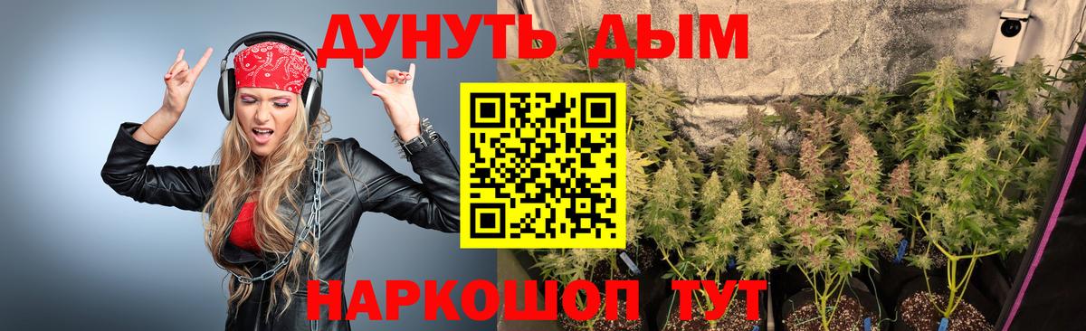 Каннабис Amnesia  Бошки Шишки планчик  Краснодар  Канабис VHQ  Вход с VPN 